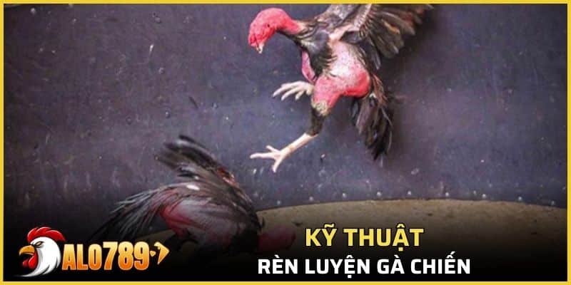 Các kỹ thuật đánh cần rèn luyện cho chiến kê