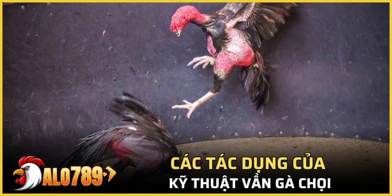 Các tác dụng của kỹ thuật vần gà chọi
