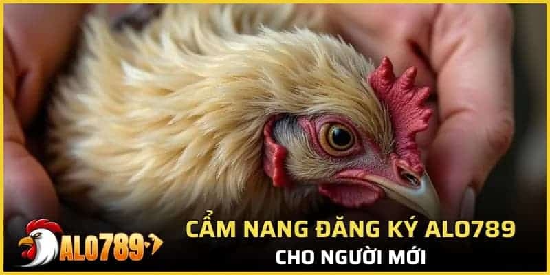 Cẩm nang đăng ký Alo789 cho người mới