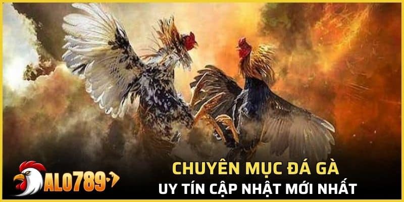 Chuyên mục đá gà uy tín cập nhật mới nhất