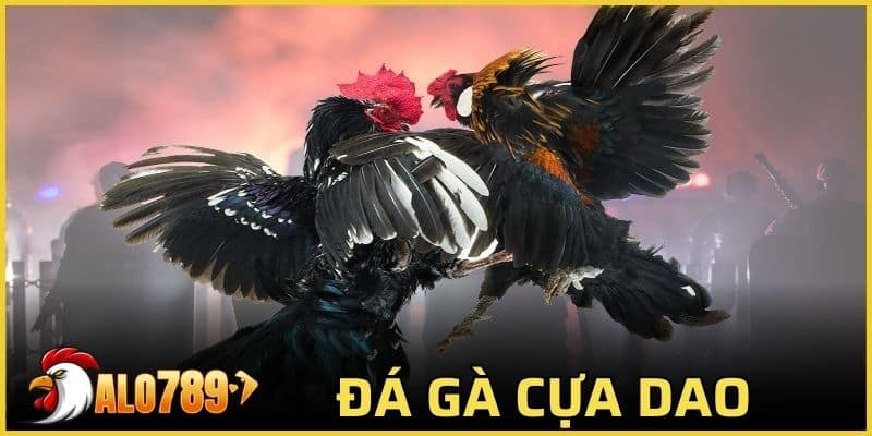 đá gà cựa dao