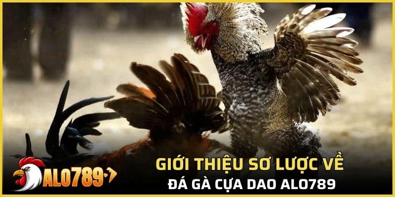 Giới thiệu sơ lược về đá gà cựa dao Alo789