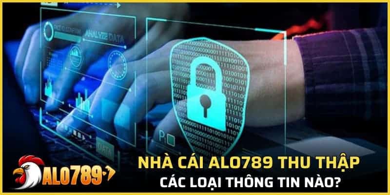 Nhà cái Alo789 thu thập các loại thông tin nào?