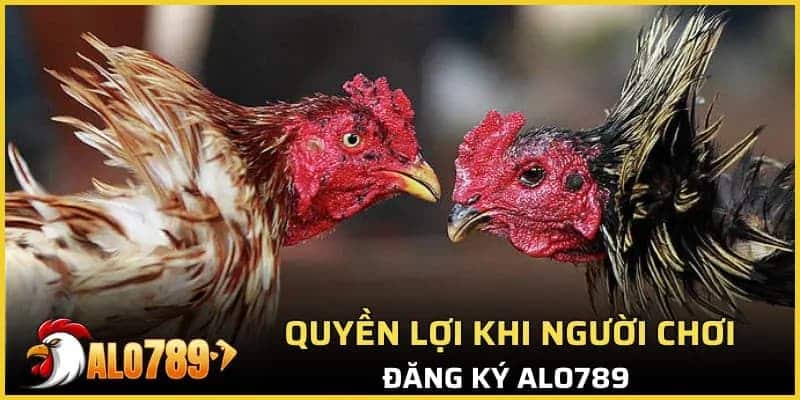 Quyền lợi khi người chơi đăng ký Alo789