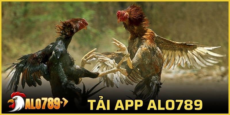tải app Alo789