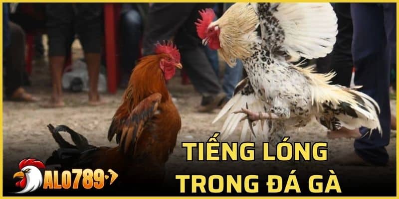 Tiếng lóng trong đá gà