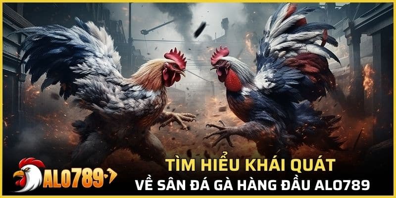 Tìm hiểu khái quát về sân đá gà hàng đầu ALO789