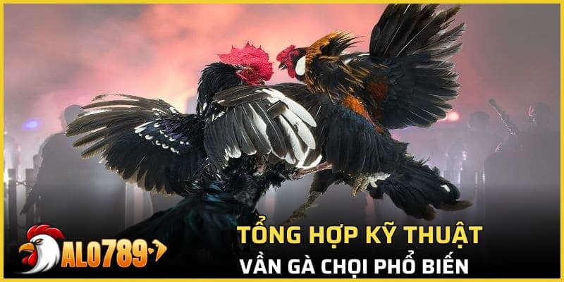 Tổng hợp kỹ thuật vần gà chọi phổ biến